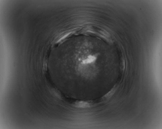 X0000086050180200704132004