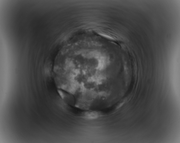 X0000086050181200704132004