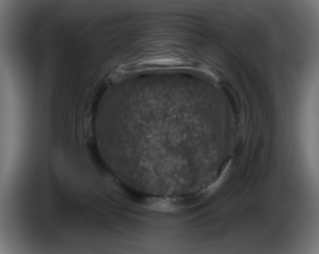 X0000086050182200704132004