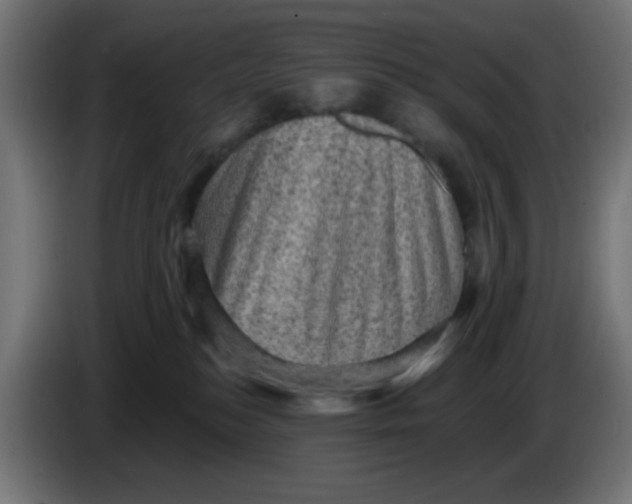 X0000086050184200704132004