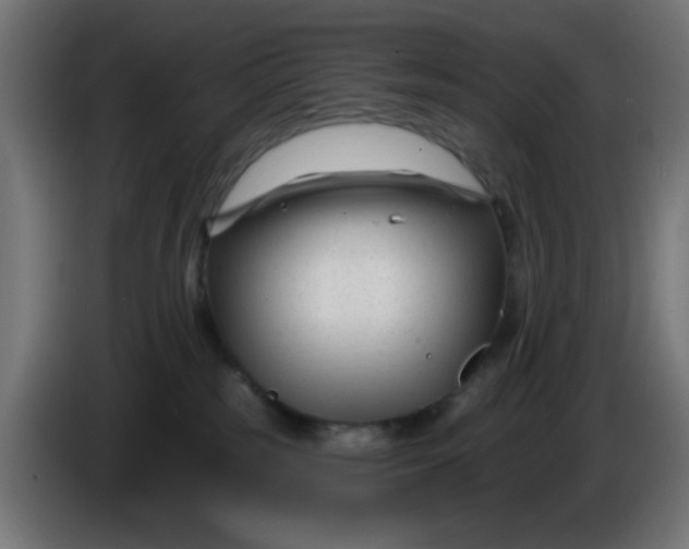 X0000086050185200704132004