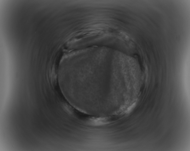 X0000086050186200704132004