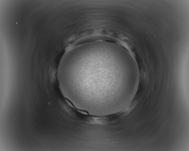 X0000086050188200704132004