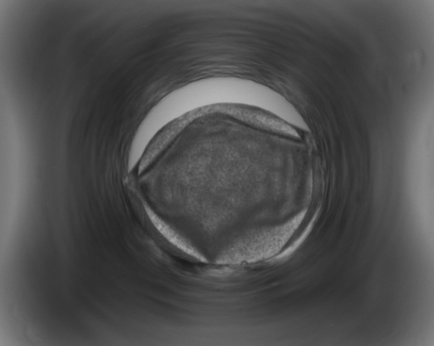 X0000086050190200704132004