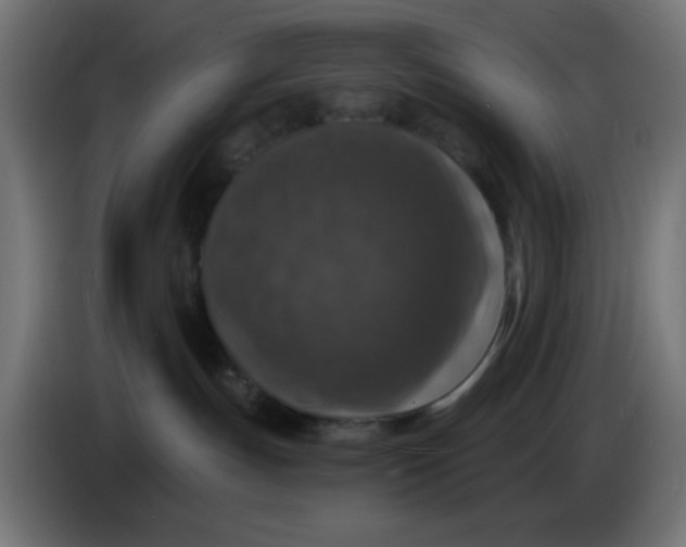 X0000086050191200704132004