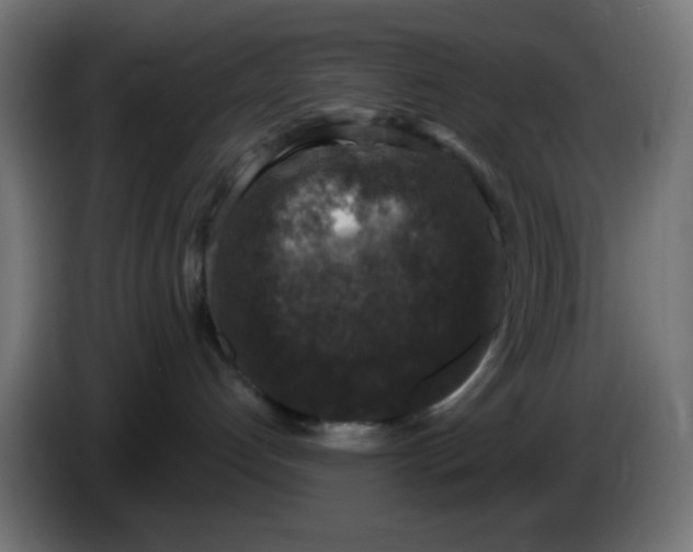 X0000086050192200704132004