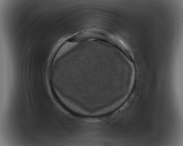 X0000086050193200704132003