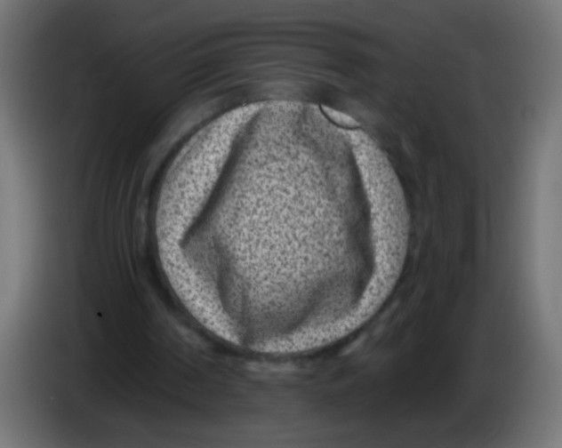 X0000086050194200704132003