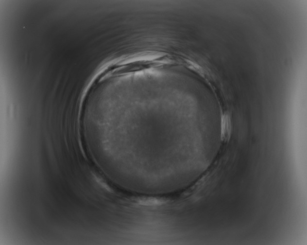 X0000086050195200704132003