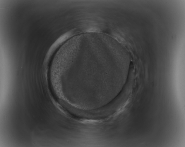 X0000086050197200704132003