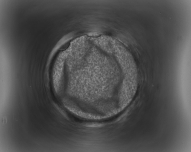 X0000086050198200704132003