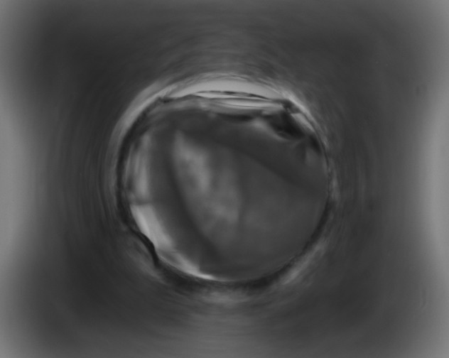 X0000086050199200704132003