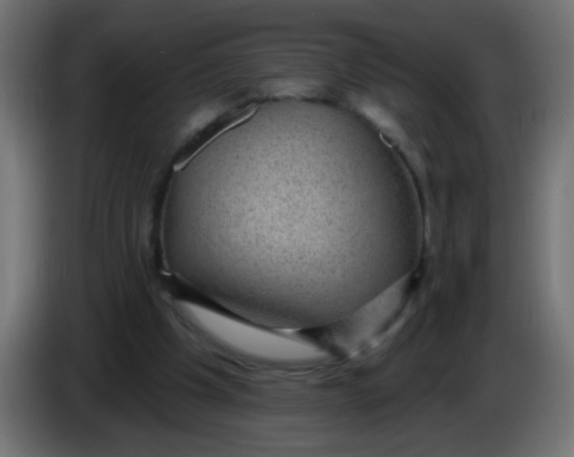 X0000086050201200704132003