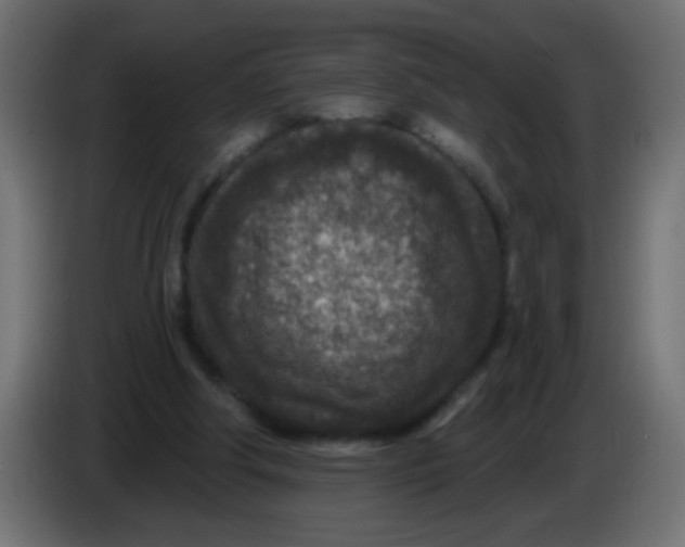 X0000086050202200704132003