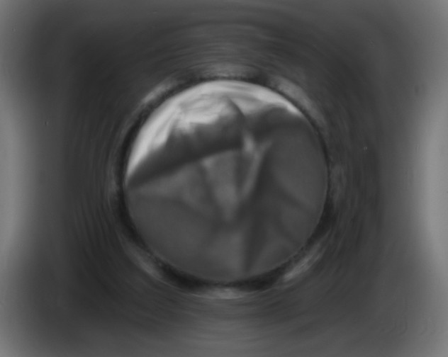 X0000086050203200704132003