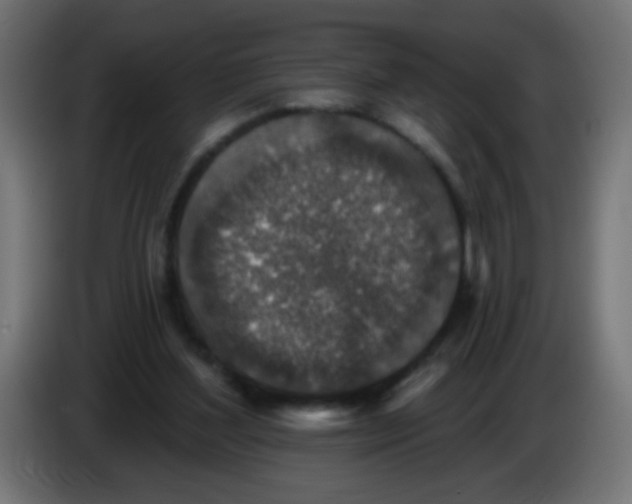 X0000086050204200704132003