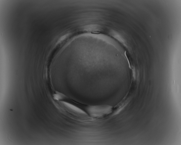 X0000086050205200704132003
