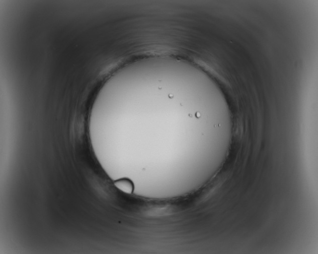X0000086050206200704132003