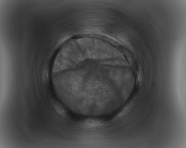 X0000086050207200704132003