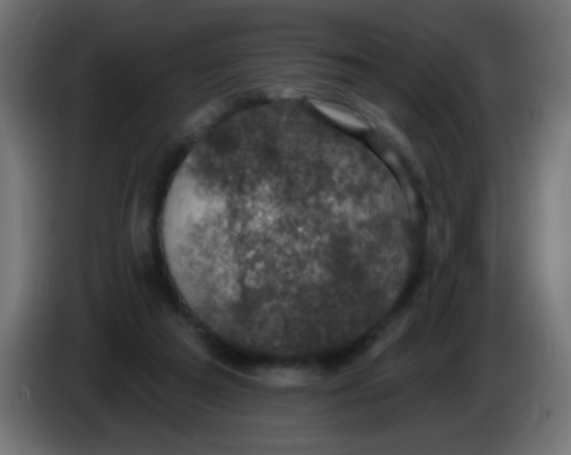 X0000086050209200704132003