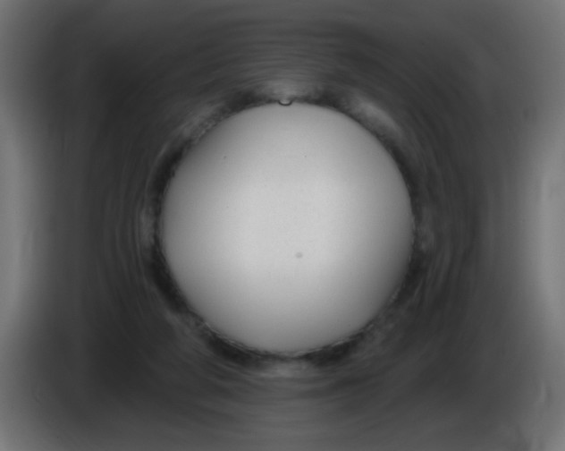 X0000086050210200704132003