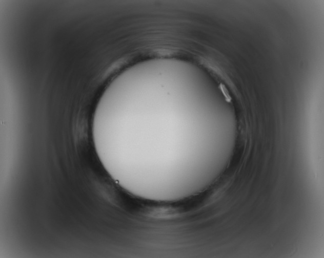 X0000086050212200704132003