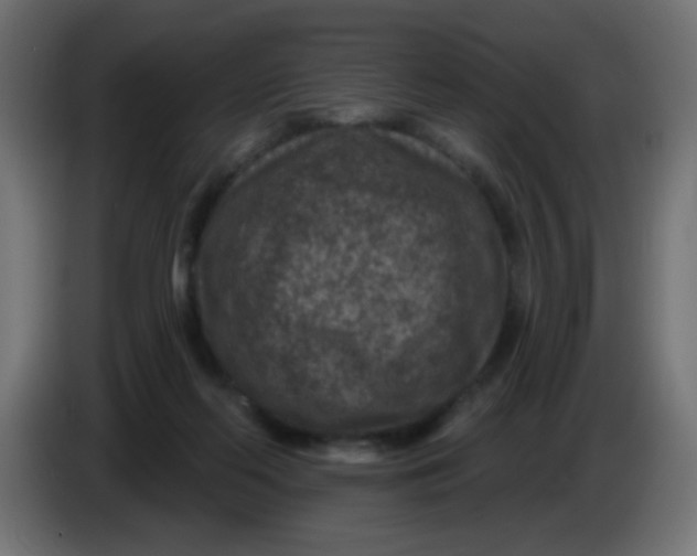X0000086050214200704132003