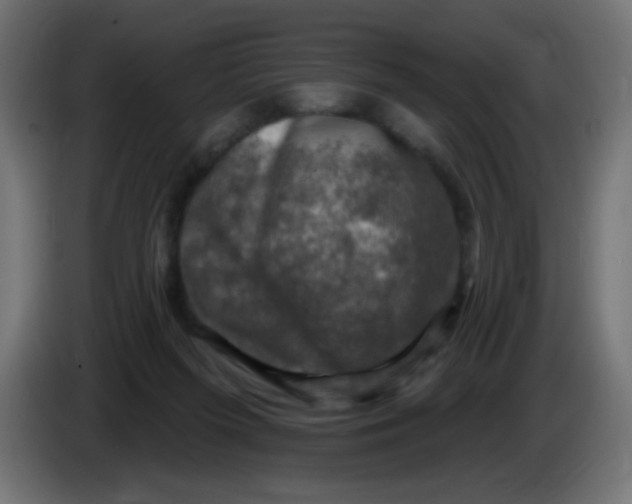 X0000086050215200704132003
