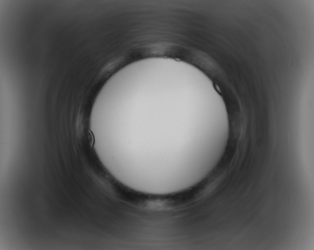 X0000086050216200704132003