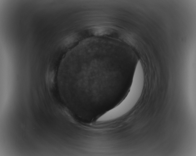 X0000086050219200704132003