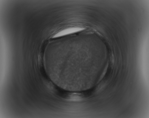X0000086050222200704132003