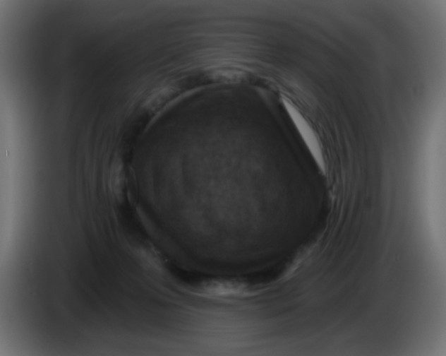 X0000086050223200704132003