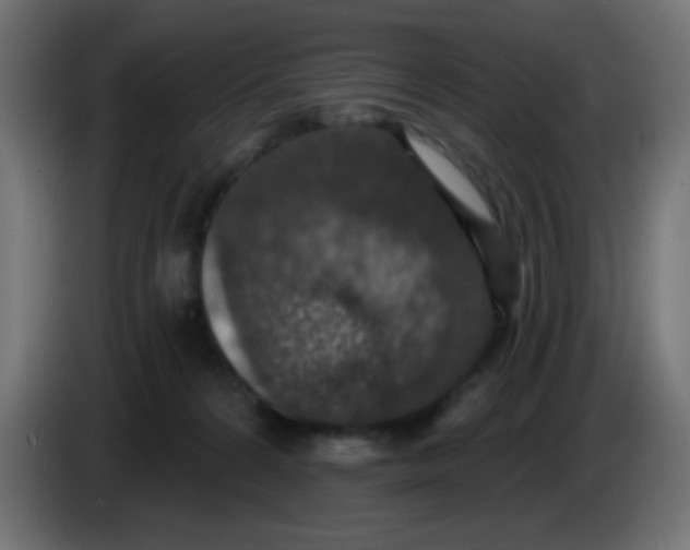 X0000086050224200704132003