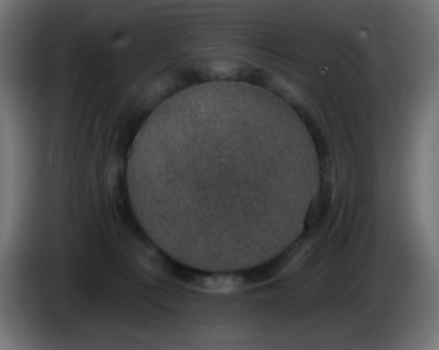 X0000086050225200704132003