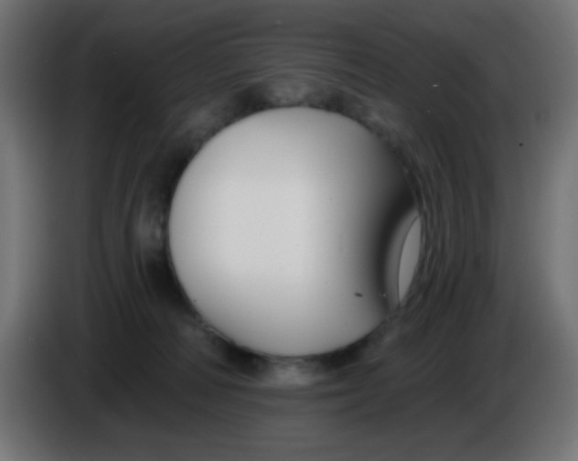 X0000086050226200704132003