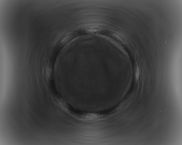 X0000086050227200704132003