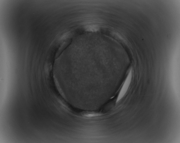 X0000086050229200704132003