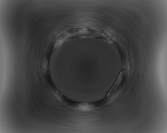 X0000086050231200704132003