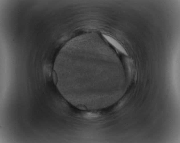 X0000086050232200704132003