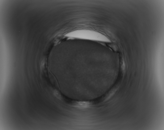 X0000086050233200704132003
