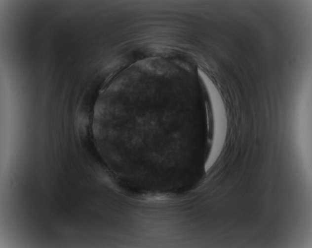 X0000086050235200704132003