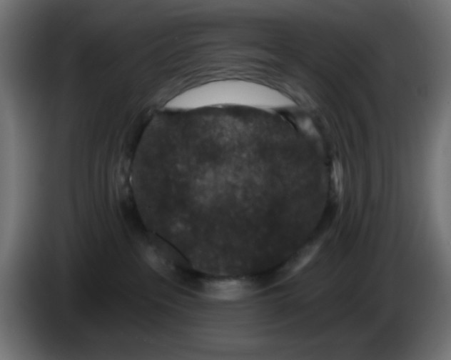 X0000086050237200704132003