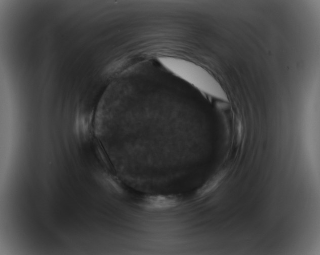 X0000086050239200704132003