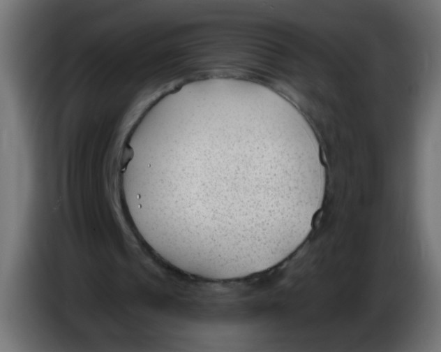 X0000086050241200704132002