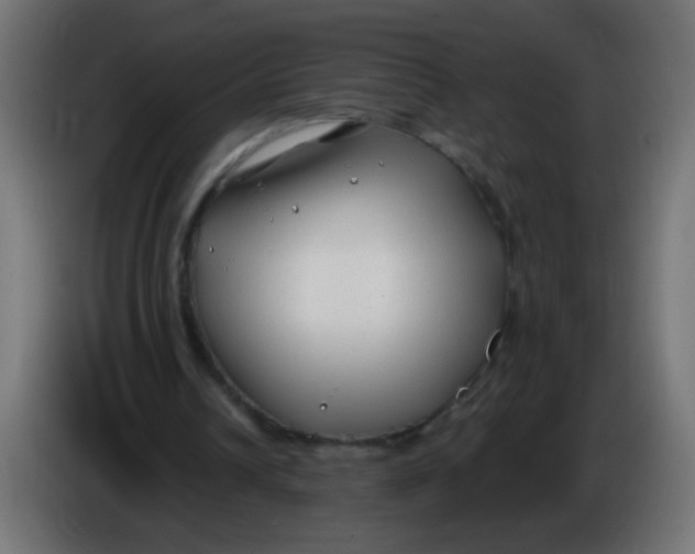 X0000086050242200704132002