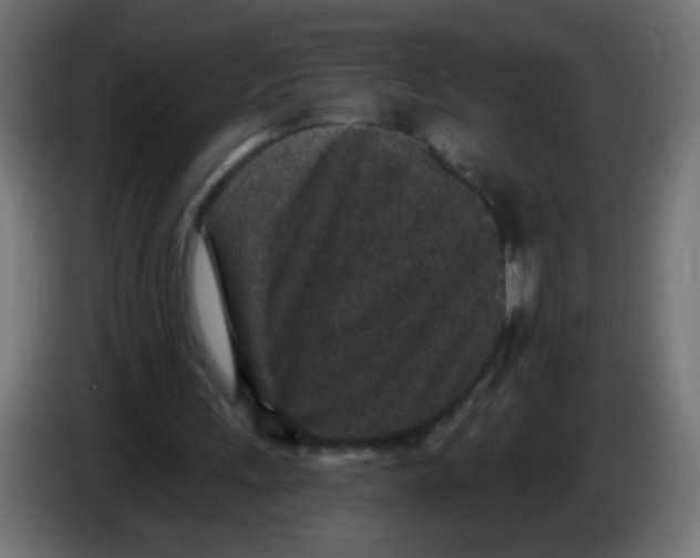 X0000086050243200704132002