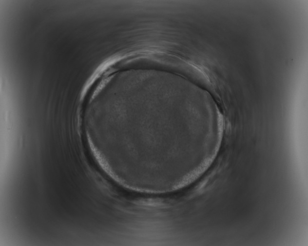 X0000086050244200704132002