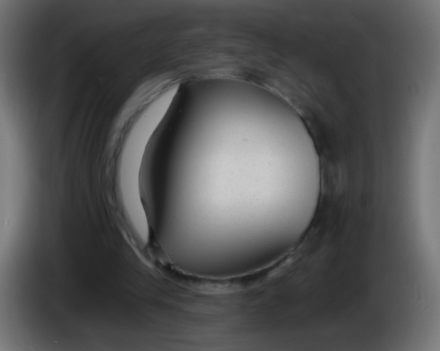 X0000086050245200704132002