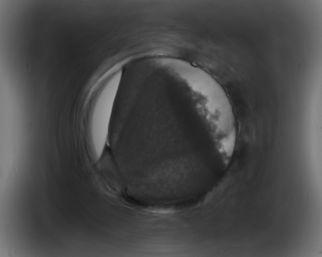 X0000086050247200704132002