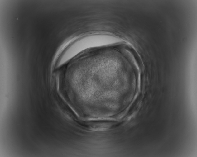 X0000086050248200704132002